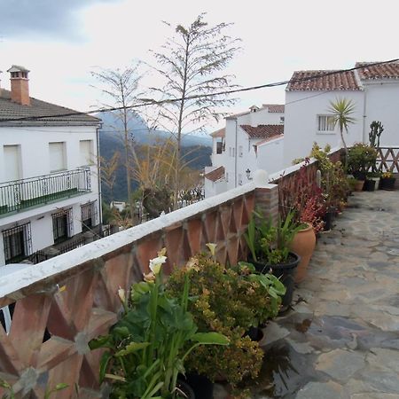 Apartamentos Rurales Jardines Del Visir Genalguacil Esterno foto