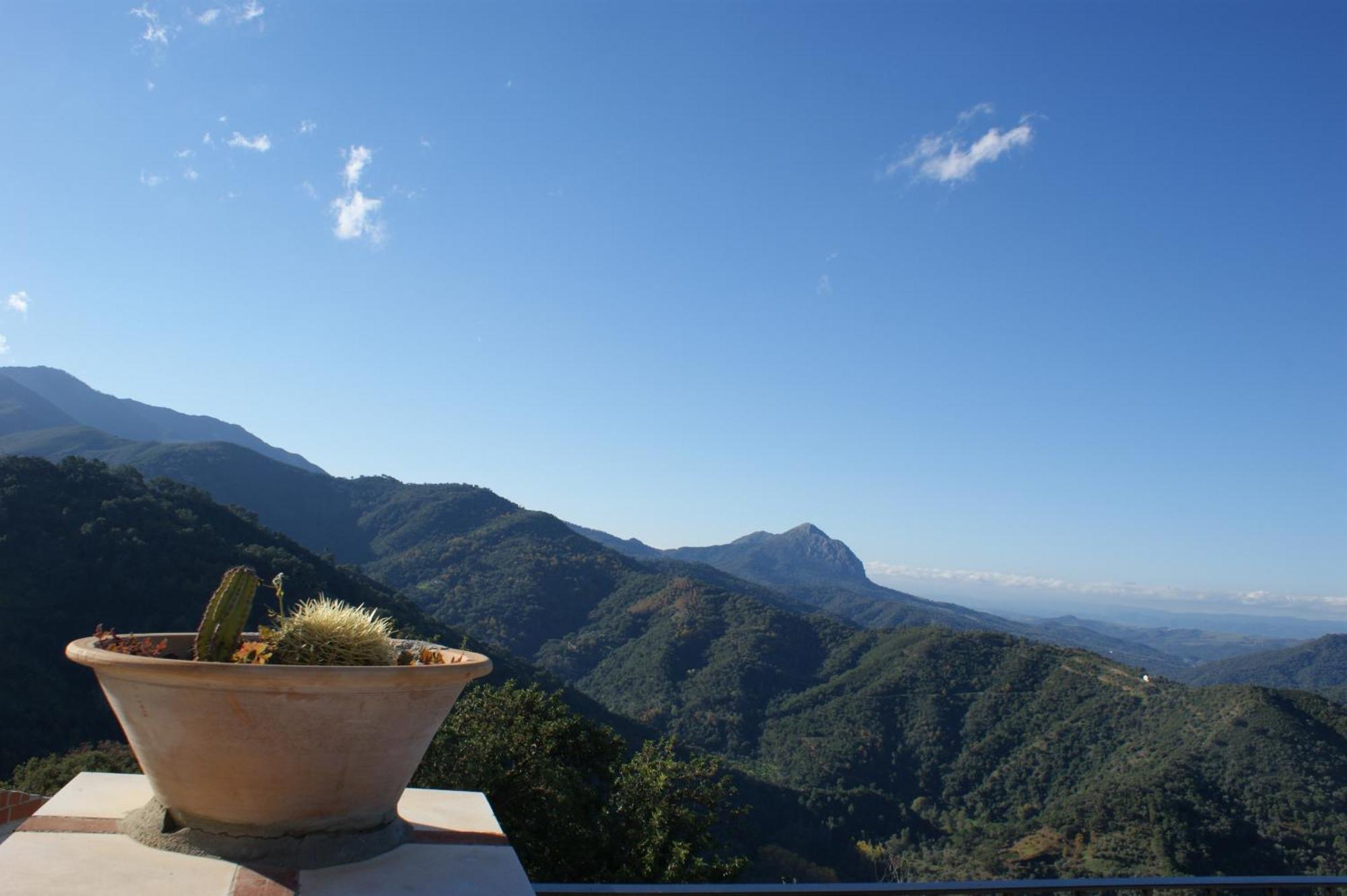 Apartamentos Rurales Jardines Del Visir Genalguacil Esterno foto