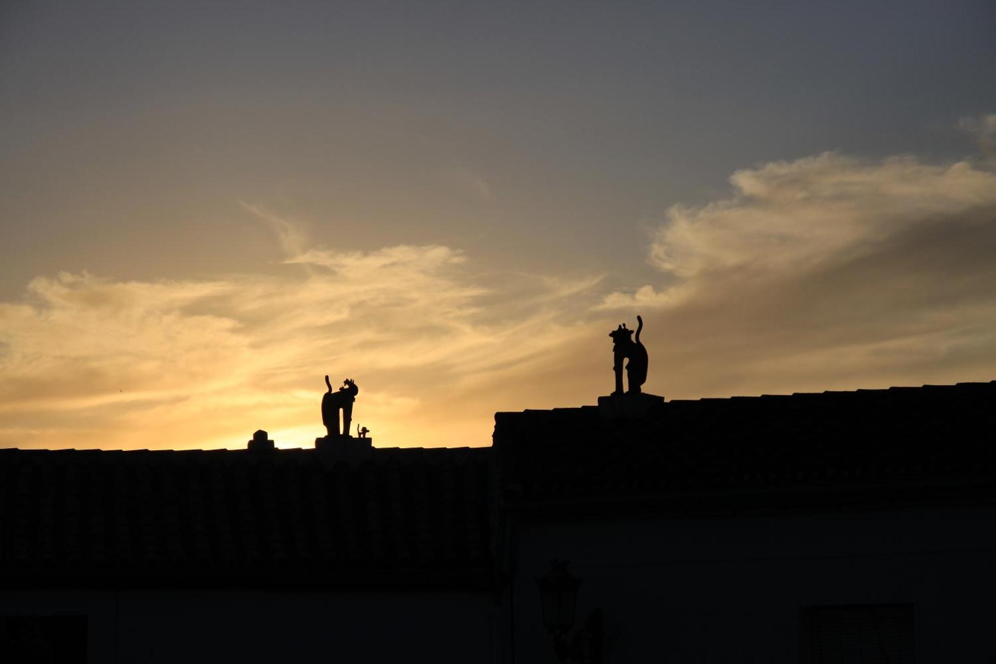 Apartamentos Rurales Jardines Del Visir Genalguacil Esterno foto