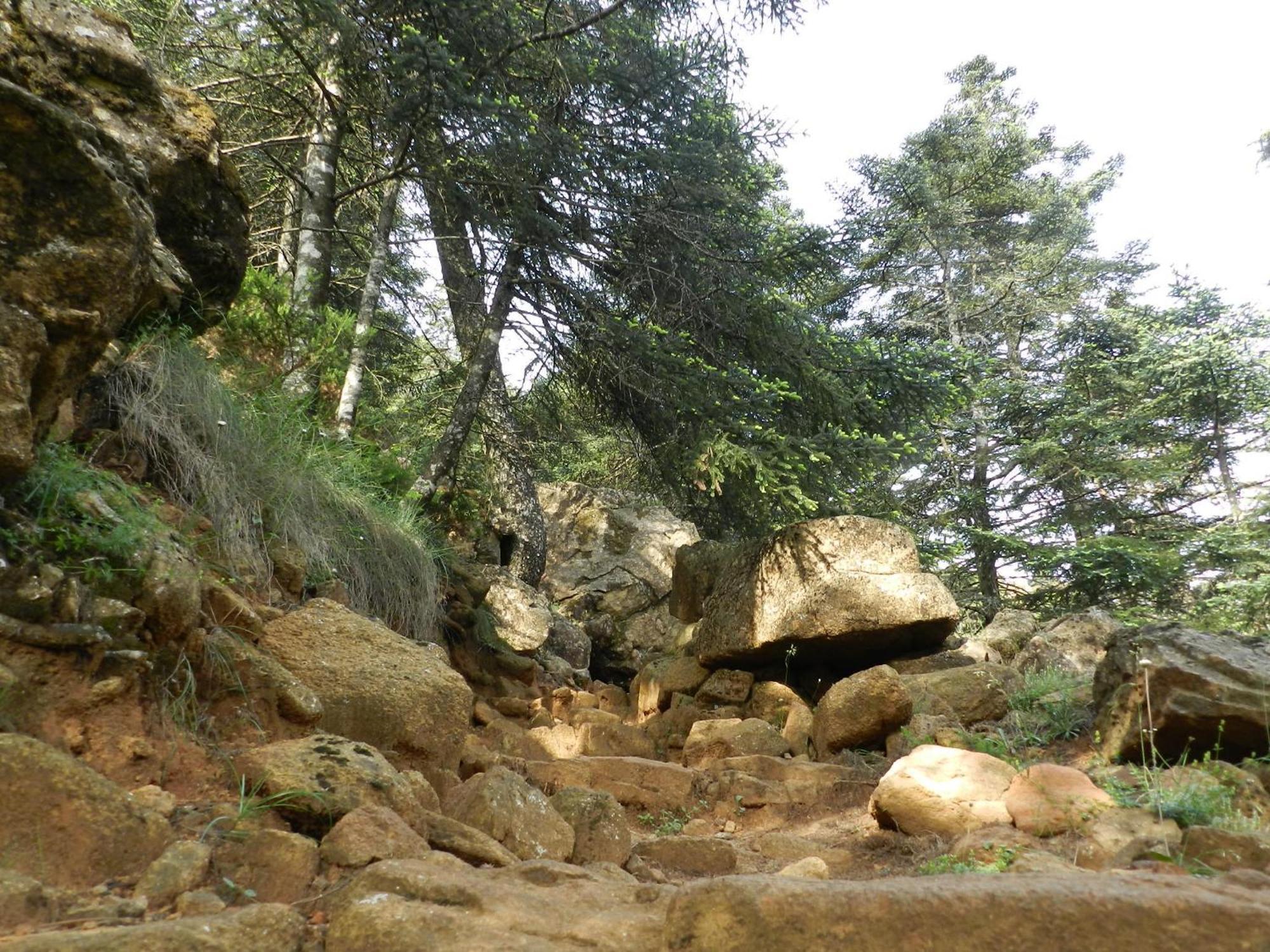Apartamentos Rurales Jardines Del Visir Genalguacil Esterno foto