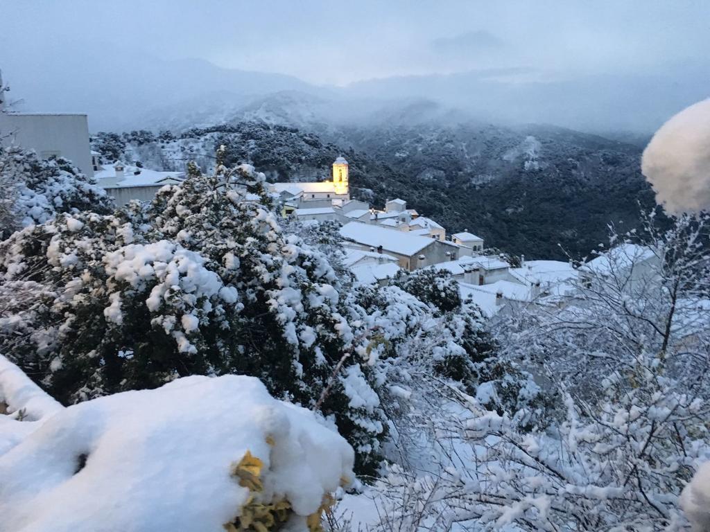Apartamentos Rurales Jardines Del Visir Genalguacil Esterno foto