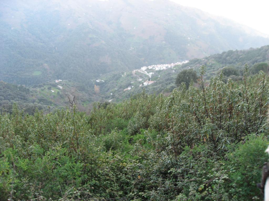 Apartamentos Rurales Jardines Del Visir Genalguacil Esterno foto