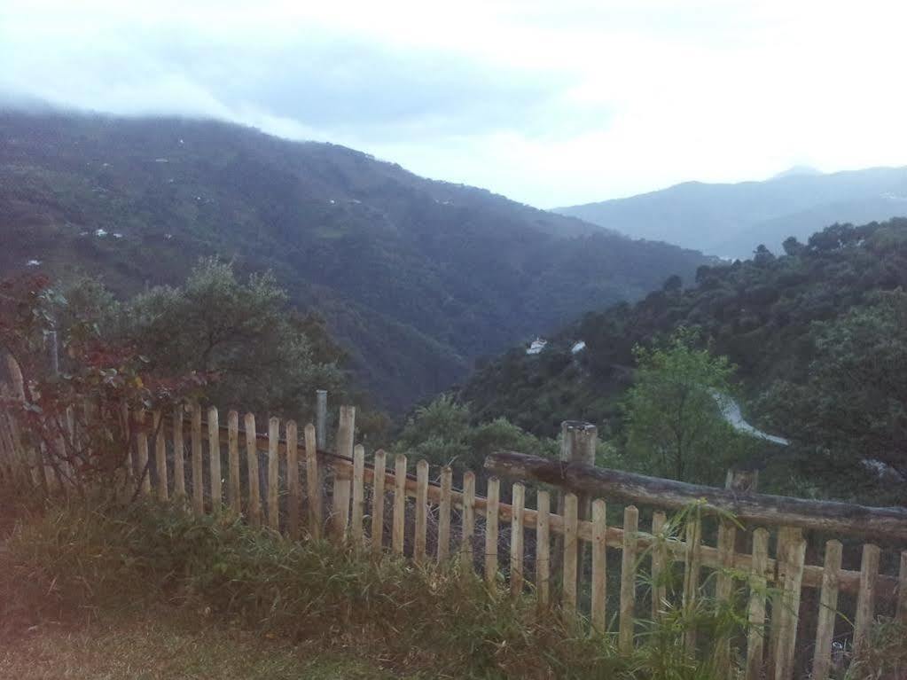 Apartamentos Rurales Jardines Del Visir Genalguacil Esterno foto
